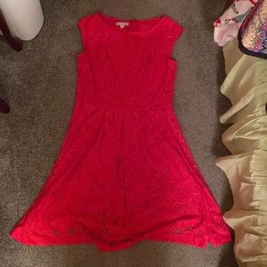 Dress Barn Gently Used A line Lace Dress Great Condition